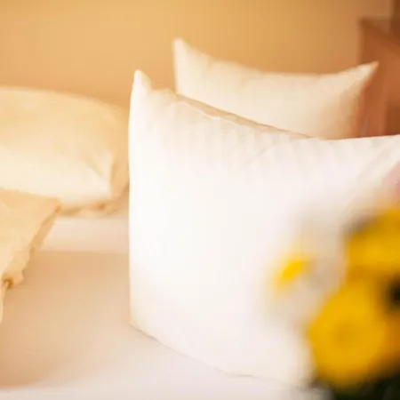 Hotel Steuxner