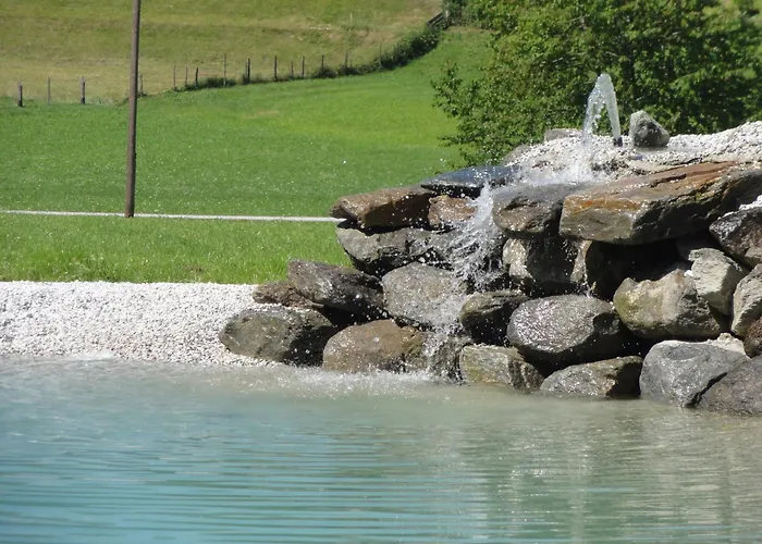 Отель Steuxner 3*