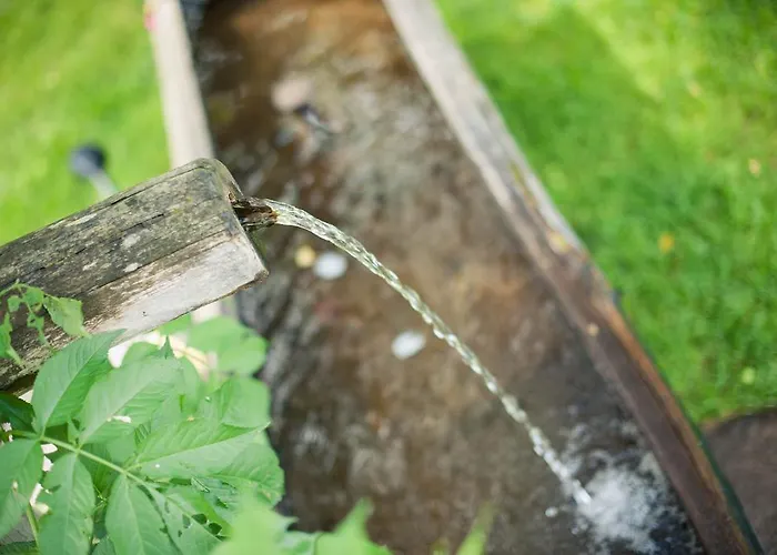 Hotel Steuxner Neustift im Stubaital