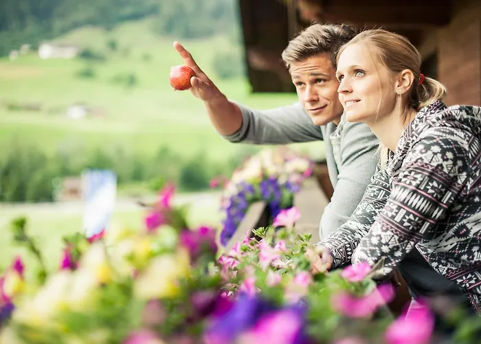 Steuxner Neustift im Stubaital